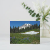 Berg Rainier, Wildblumen und Schnee Postkarte (Stehend Vorderseite)