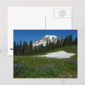 Berg Rainier, Wildblumen und Schnee Postkarte (Vorne/Hinten)