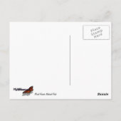 Berg Rainier, Wildblumen und Schnee Postkarte (Rückseite)