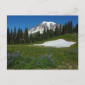 Berg Rainier, Wildblumen und Schnee Postkarte (Vorderseite)