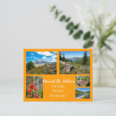 Berg St. Helens Collage Postkarte (Stehend Vorderseite)