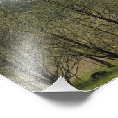 Berg St Helens Vulkanlandschaft Fotodruck (Ecke)