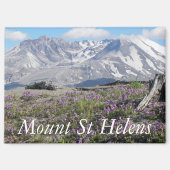 Berg St Helens Wildblumen Landschaft Magnet (Vorderseite)