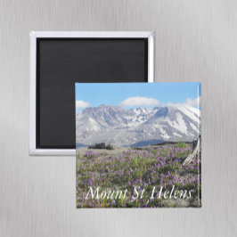 Berg St Helens Wildblumen Landschaft Magnet