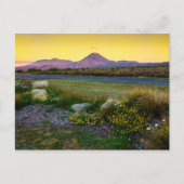 Berg Tongariro, Neuseeland Postkarte (Vorderseite)