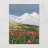 Berg und Wiese Postkarte (Vorderseite)