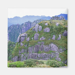 Berg, Yakushima, Kagoshima, Japan Magnet