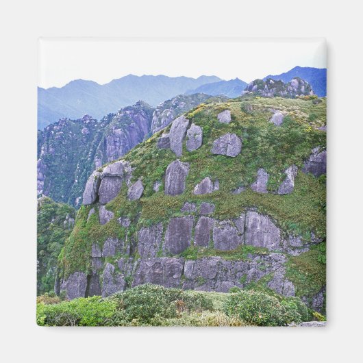 Berg, Yakushima, Kagoshima, Japan Magnet (Vorne)