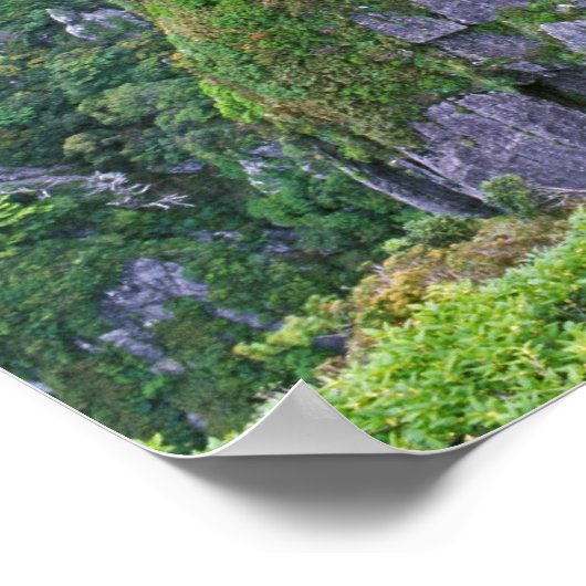 Berg, Yakushima, Kagoshima, Japan Poster (Ecke)