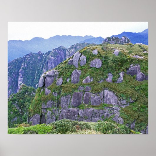 Berg, Yakushima, Kagoshima, Japan Poster (Vorne)