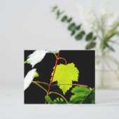 Bergahorn Postkarte (Stehend Vorderseite)