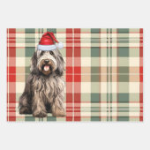 Bergamasco Christmas Dog Kariert Geschenkpapier Set (Vorderseite)