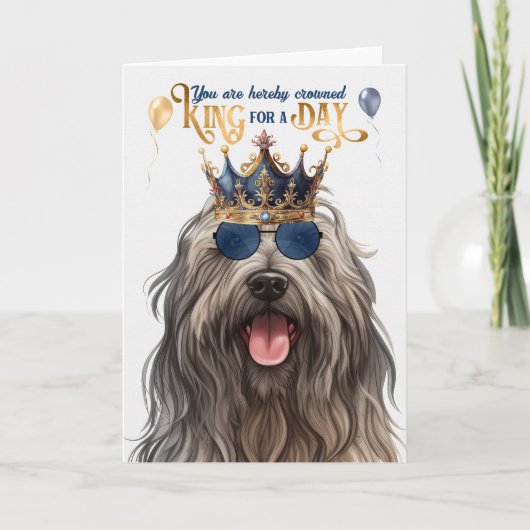 Bergamasco Dog King für Tag Funny Geburtstag Karte (Vorderseite)