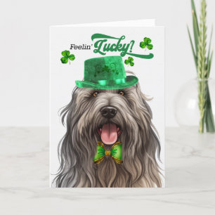 Bergamasco Dog Lucky St Patrick's Day Feiertagskarte