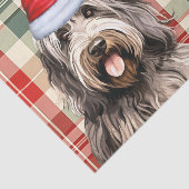 Bergamasco Hund Kariert Weihnachten Seidenpapier (Ausschnitt)