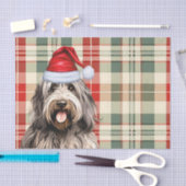 Bergamasco Hund Kariert Weihnachten Seidenpapier (Handwerk)