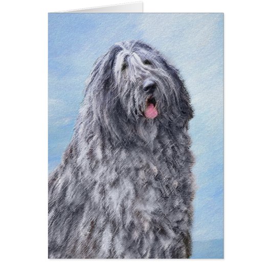 Bergamasco Sheepdog Malerei - Niedlicher Original (Vorne)