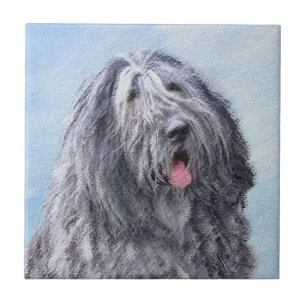 Bergamasco Sheepdog Malerei - Niedlicher Original Fliese