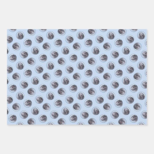 Bergamasco Sheepdog Schepherd Malerei Niedlicher H Geschenkpapier Set (Vorderseite)