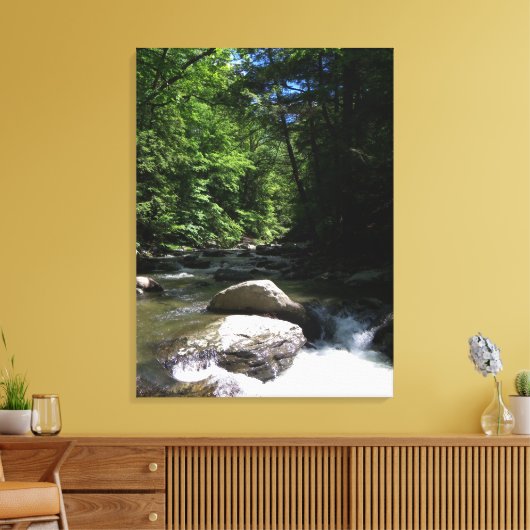 Bergbach Leinwanddruck (Insitu (Wohnzimmer))
