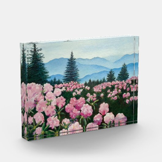 Bergbau Wildblume Ölgemälde Landschaft Drucken Fotoblock (Links)