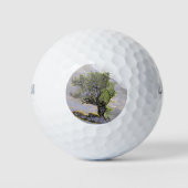 BERGBAUM GOLFBALL (Vorderseite)