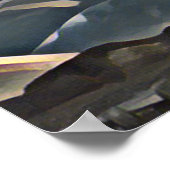 BERGBAUM POSTER (Ecke)