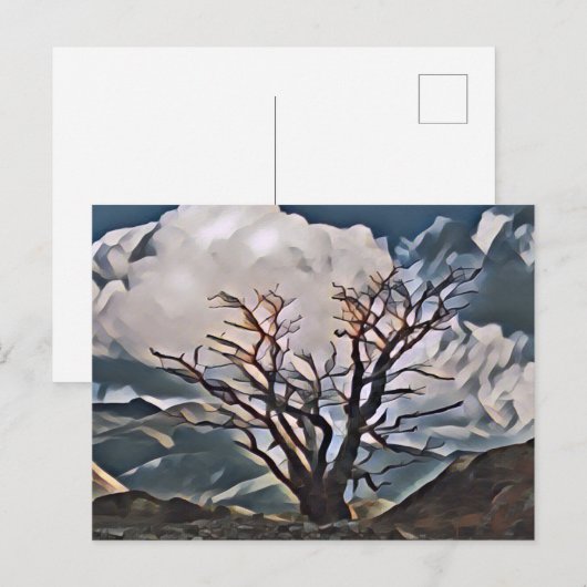 BERGBAUM POSTKARTE (Vorne/Hinten)