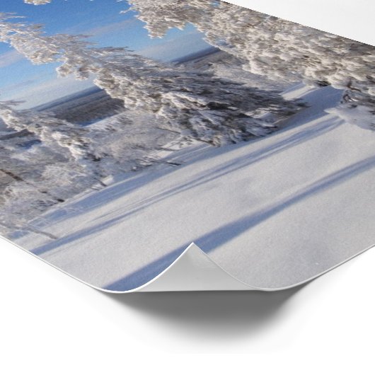 Bergbaume 1 poster (Ecke)