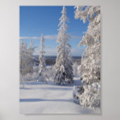 Bergbaume 1 poster (Vorne)