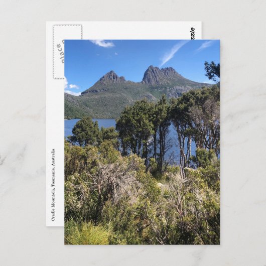 Bergbusch Postkarte (Vorne/Hinten)