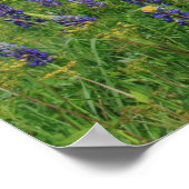 Berge Adams und Lupinen Poster (Ecke)