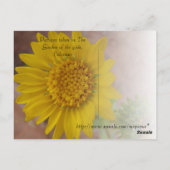 Berge im Sommer Postkarte (Rückseite)