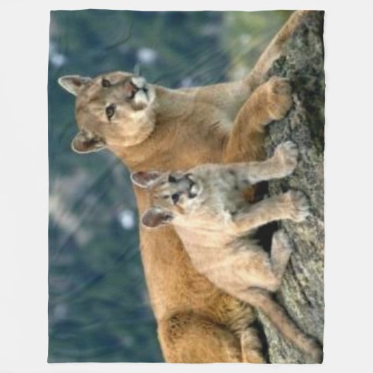 BERGE LION UND CUB FLEECEDECKE (Vorderseite)