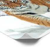 Berge Natur Winter Foto Schnee Tiger Poster (Ecke)