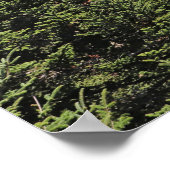 Berge Psalm 121:1-2 Glaubenplakat Poster (Ecke)