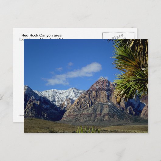 Berge und Canyon mit Schnee Postkarte (Vorne/Hinten)