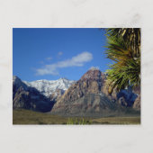 Berge und Canyon mit Schnee Postkarte (Vorderseite)