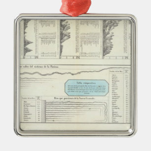 Berge und Flüsse Venezuelas Silbernes Ornament