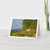 Berge und Pinienbäume Karte (Vorderseite)