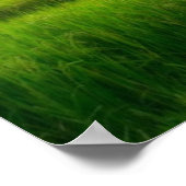 Berge und Ricefields Poster (Ecke)