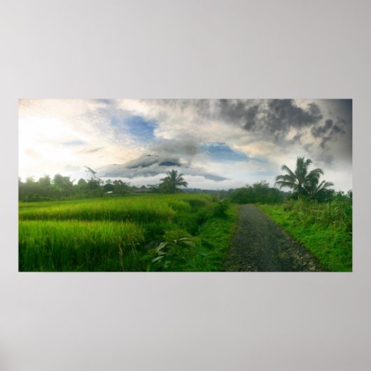 Berge und Ricefields Poster (Vorne)