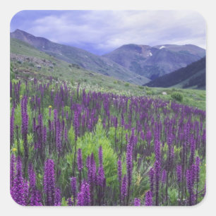 Berge und Wildblumen auf Almwiese, 2 Quadratischer Aufkleber