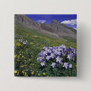 Berge und Wildblumen auf Almwiese, Blau Button