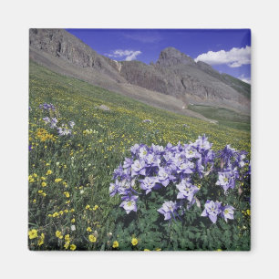 Berge und Wildblumen auf Almwiese, Blau Magnet