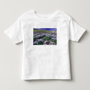 Berge und Wildblumen auf Almwiese, Kleinkind T-shirt