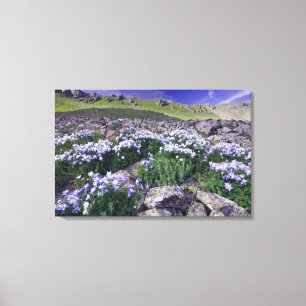 Berge und Wildblumen auf Almwiese, Leinwanddruck