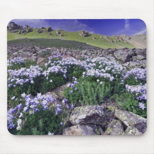Berge und Wildblumen auf Almwiesen, Mousepad (Vorne)