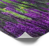 Berge und Wildblumen auf der Alp, 2 Poster (Ecke)