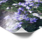 Berge und Wildblumen auf der Alp-Wiese, Fotodruck (Ecke)